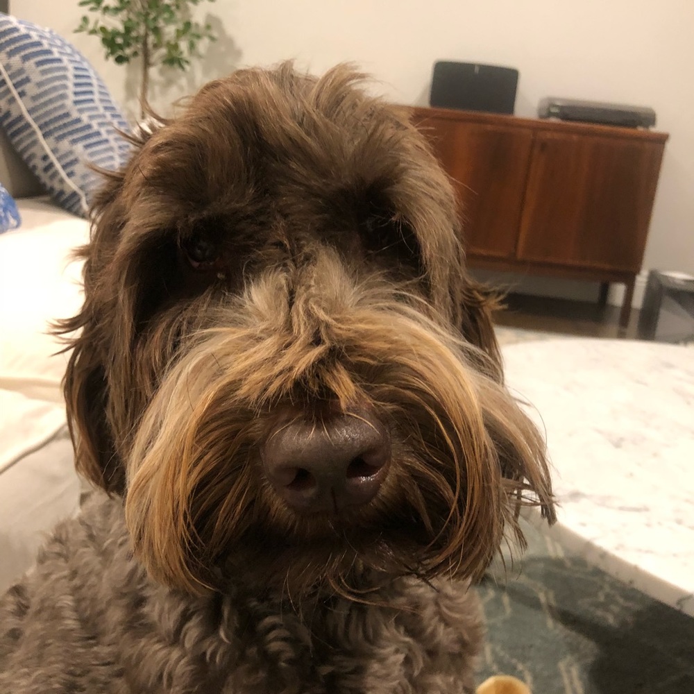 Meet your Posher, Eleanor